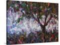 Stretched Canvas