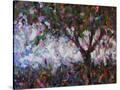 Stretched Canvas