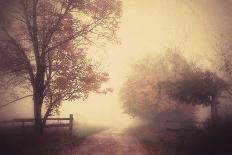 an autumn day forever-Joseph Mazzucco-Photographic Print