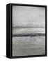 Framed Canvas