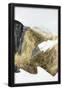 Essential Black