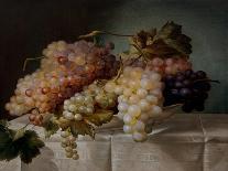 Still Life with Grapes in a Porcelain Dish, 19Th Century (Oil on Canvas)-Joseph Nigg-Laminated Giclee Print