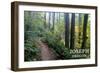 Joseph, Oregon - Forest Scene-Lantern Press-Framed Art Print