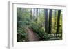 Joseph, Oregon - Forest Scene-Lantern Press-Framed Art Print