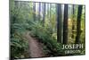 Joseph, Oregon - Forest Scene-Lantern Press-Mounted Art Print