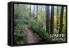 Joseph, Oregon - Forest Scene-Lantern Press-Framed Stretched Canvas