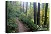 Joseph, Oregon - Forest Scene-Lantern Press-Stretched Canvas