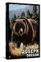 Joseph, Oregon - Grizzly Bear - Scratchboard-Lantern Press-Stretched Canvas
