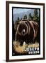 Joseph, Oregon - Grizzly Bear - Scratchboard-Lantern Press-Framed Art Print