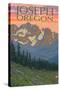 Joseph, Oregon, Spring Flowers-Lantern Press-Stretched Canvas