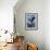 Joseph, Oregon - Wallowa Lake Eagle and Chicks-Lantern Press-Framed Art Print displayed on a wall