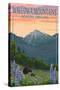 Joseph, Oregon - Wallowa Mountains - Bear and Spring Flowers-Lantern Press-Stretched Canvas