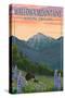 Joseph, Oregon - Wallowa Mountains - Bear and Spring Flowers-Lantern Press-Stretched Canvas