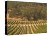 Joseph Phelps Winery and Vineyard, Deer Park, Napa Valley, California-Walter Bibikow-Stretched Canvas