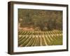 Joseph Phelps Winery and Vineyard, Deer Park, Napa Valley, California-Walter Bibikow-Framed Photographic Print