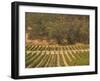 Joseph Phelps Winery and Vineyard, Deer Park, Napa Valley, California-Walter Bibikow-Framed Photographic Print