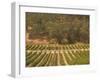 Joseph Phelps Winery and Vineyard, Deer Park, Napa Valley, California-Walter Bibikow-Framed Photographic Print