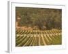 Joseph Phelps Winery and Vineyard, Deer Park, Napa Valley, California-Walter Bibikow-Framed Photographic Print