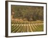 Joseph Phelps Winery and Vineyard, Deer Park, Napa Valley, California-Walter Bibikow-Framed Photographic Print