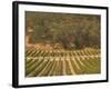 Joseph Phelps Winery and Vineyard, Deer Park, Napa Valley, California-Walter Bibikow-Framed Photographic Print