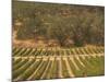 Joseph Phelps Winery and Vineyard, Deer Park, Napa Valley, California-Walter Bibikow-Mounted Photographic Print