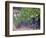 Joseph Phelps Winery and Vineyard, Deer Park, Napa Valley, California-Walter Bibikow-Framed Photographic Print