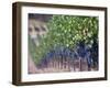 Joseph Phelps Winery and Vineyard, Deer Park, Napa Valley, California-Walter Bibikow-Framed Photographic Print