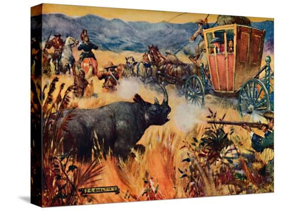 Stretched Canvas Print, , large