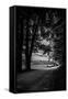 Canvas Black
