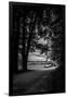 Gramercy Black