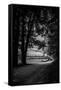 Canvas Black