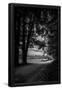 Essential Black