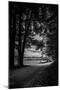 Wood Mount