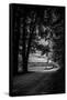 Canvas Black