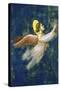 Joseph's Dream, Detail-Giotto di Bondone-Stretched Canvas