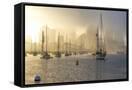 Canvas Black