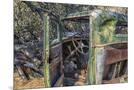 Wood Mount