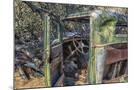 Wood Mount