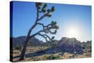 Stretched Canvas