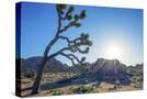 Stretched Canvas