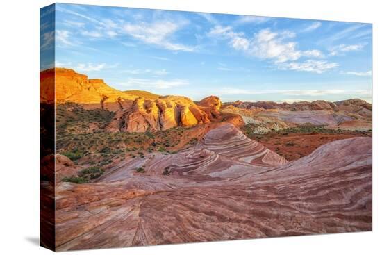 Stretched Canvas Print, , large