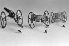 Flea Pulling Miniature Chariot-Joseph Schuppe-Photographic Print