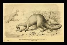 Iguanodon Bernissartensis-Joseph Smit-Art Print