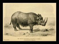 Sivatherium Giganteum-Joseph Smit-Art Print