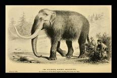 The Mammoth-Joseph Smit-Art Print