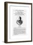 Joseph Smith, Founder of Mormonism-null-Framed Premium Giclee Print