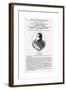 Joseph Smith, Founder of Mormonism-null-Framed Giclee Print