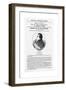 Joseph Smith, Founder of Mormonism-null-Framed Giclee Print