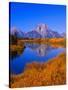 Stretched Canvas