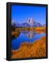 Essential Black